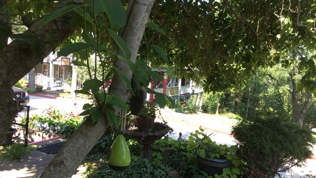 Photo of Outdoor in Eureka Springs Historic District