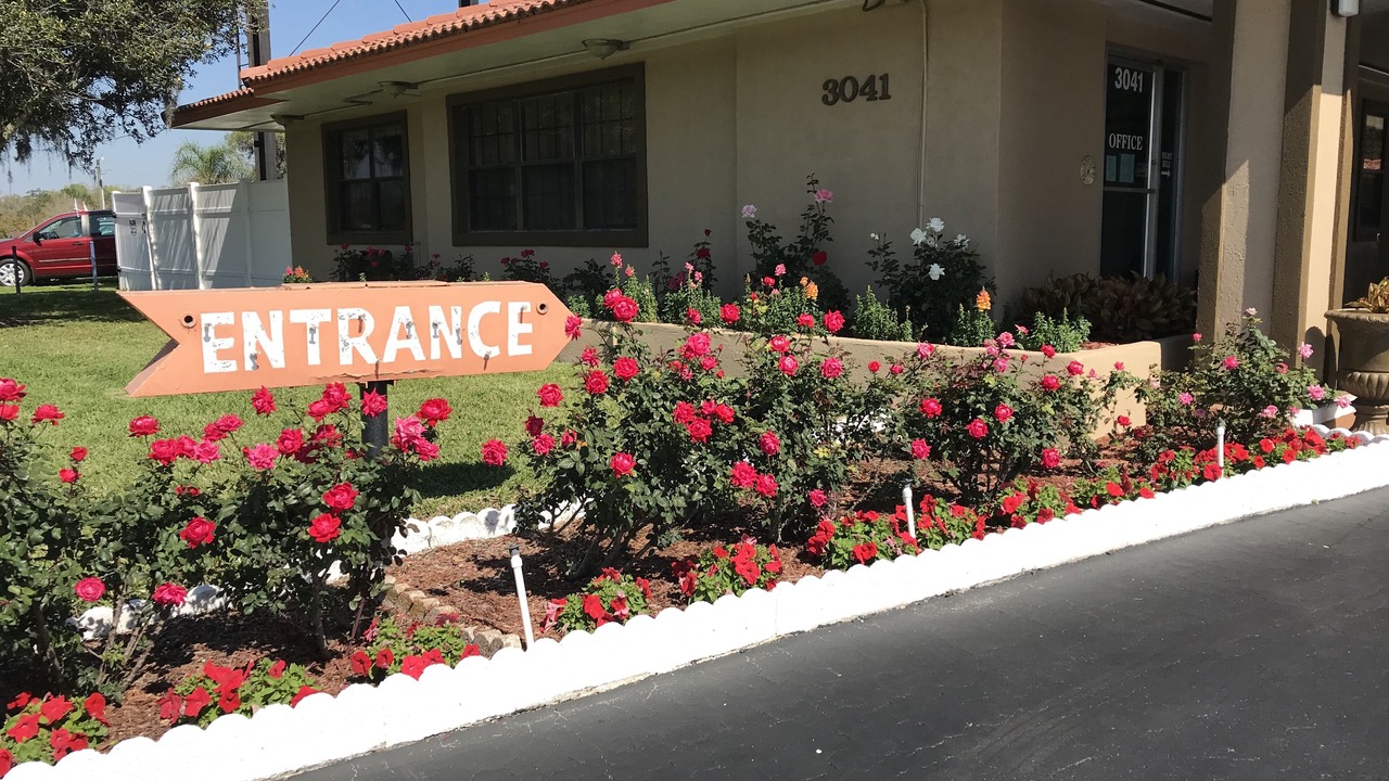 Photo of Outdoor in Ocala