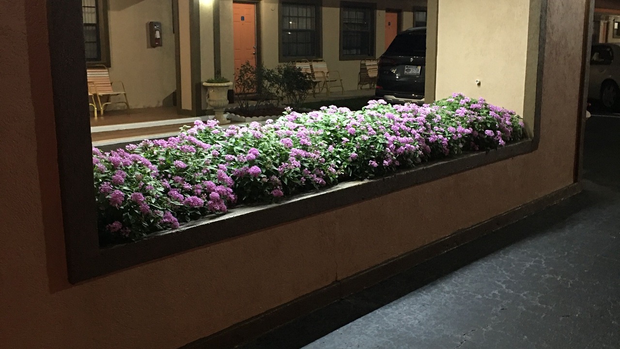 Photo of Outdoor in Ocala