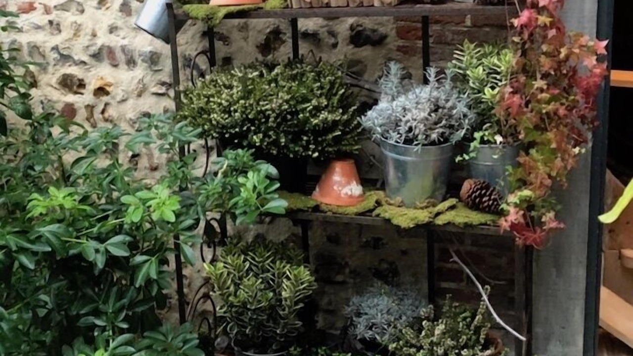 Photo of Outdoor in Honfleur