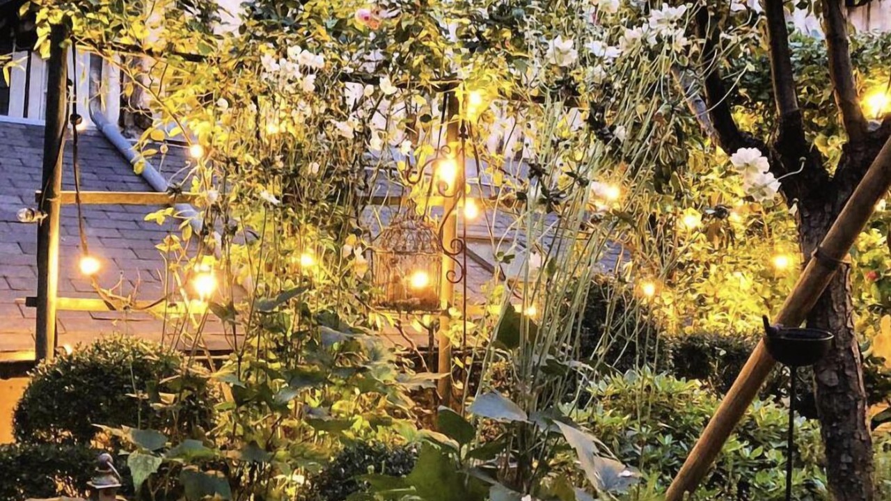 Photo of Outdoor in Honfleur