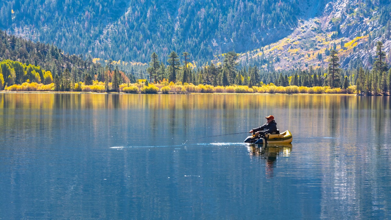 Photo of Others in June Lake