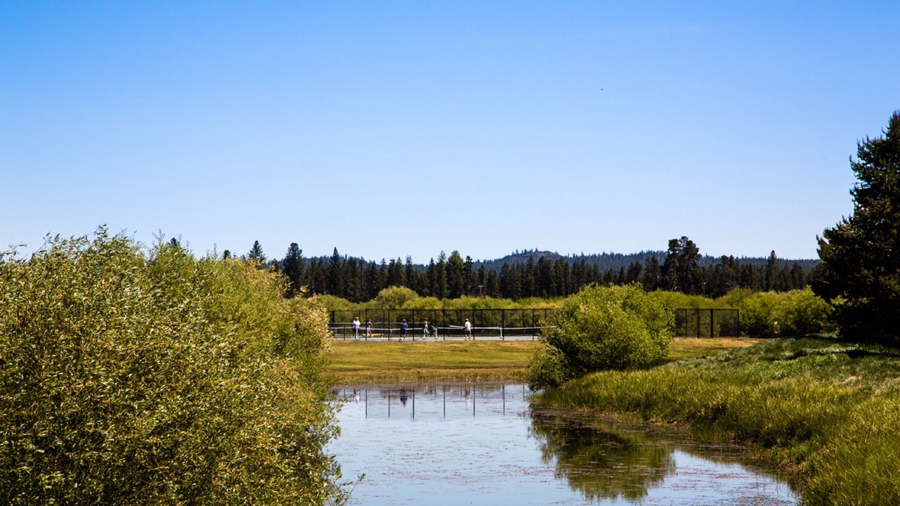 Photo of Others in Three Rivers