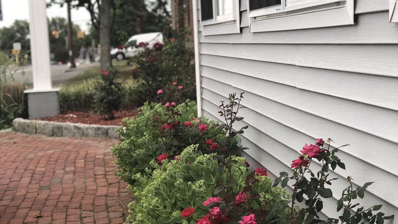 Photo of Outdoor in Hyannis