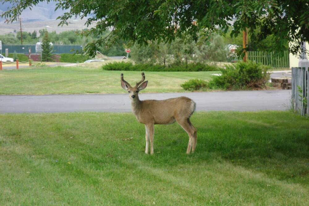 Photo of Outdoor in Lander