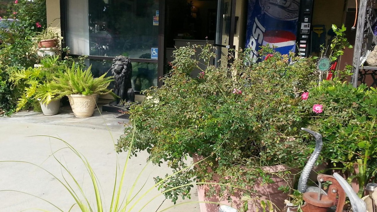 Photo of Outdoor in Colusa