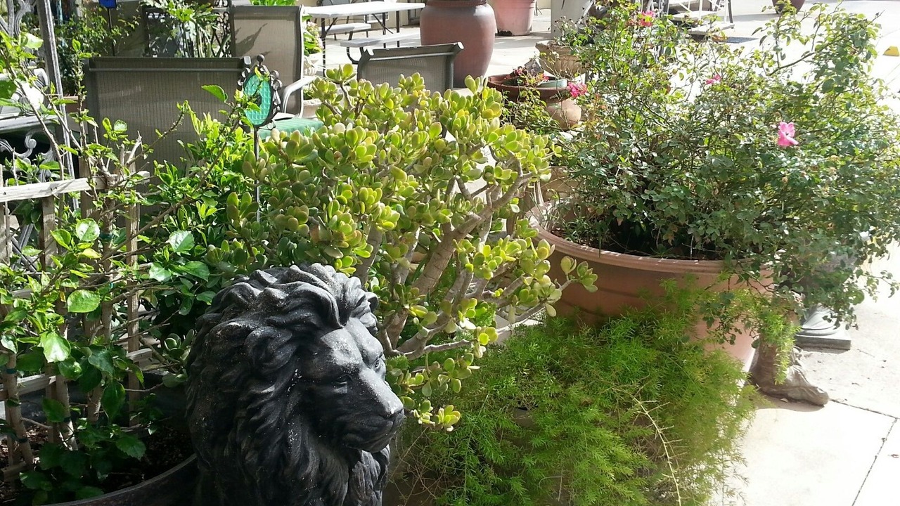 Photo of Outdoor in Colusa