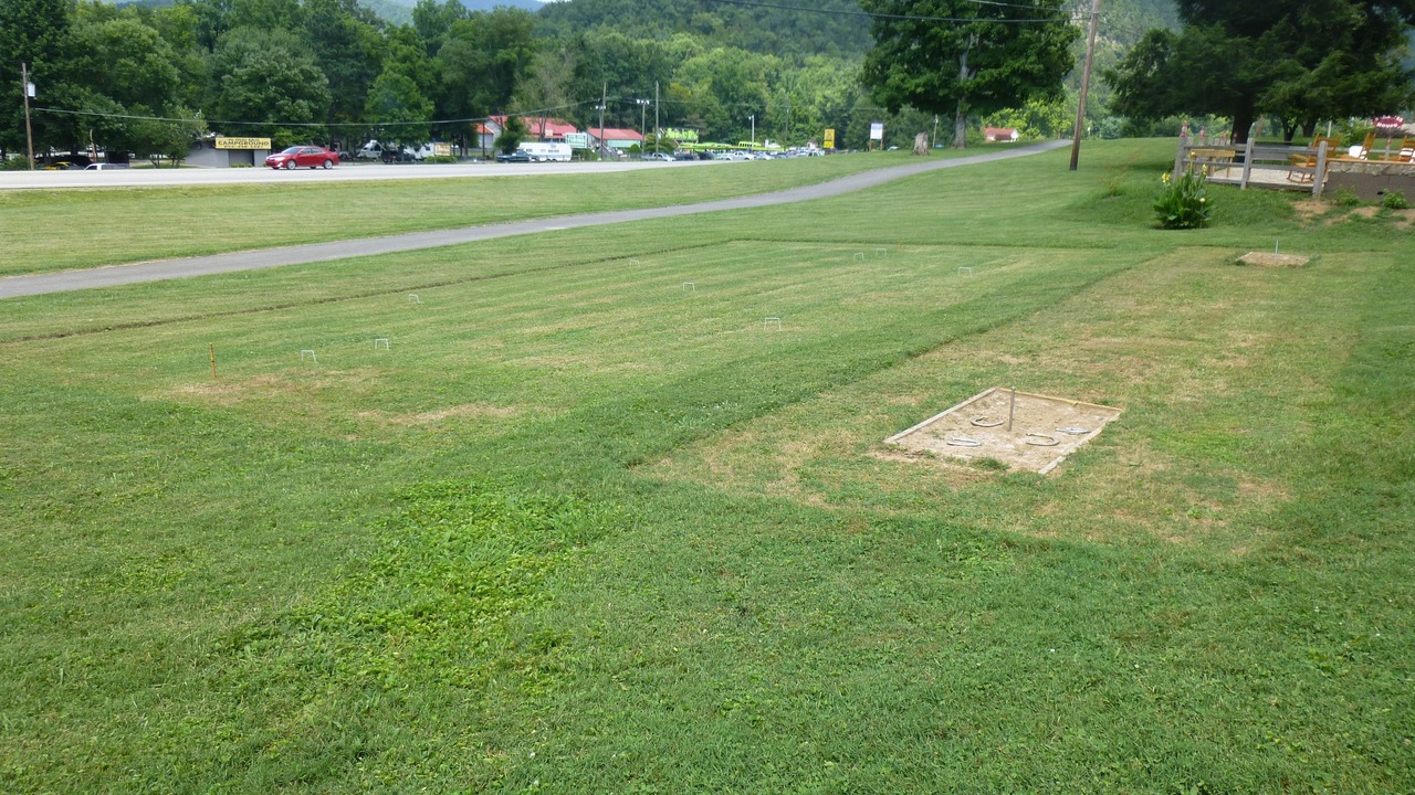 Photo of Outdoor in Townsend