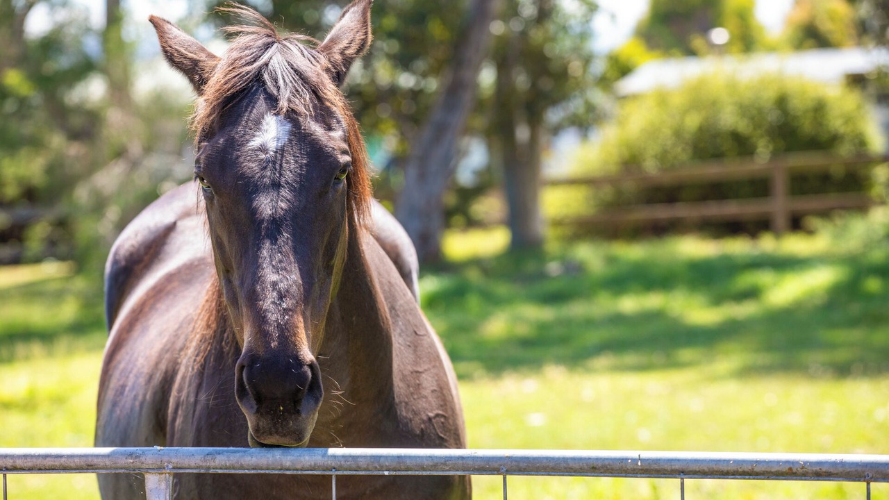 Photo of Outdoor in Yarram