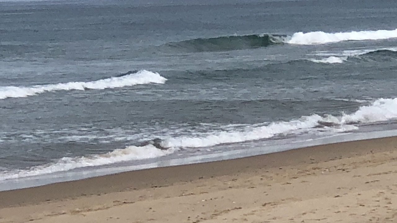 Photo of Others in Yarram