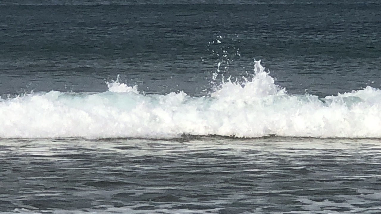 Photo of Others in Yarram