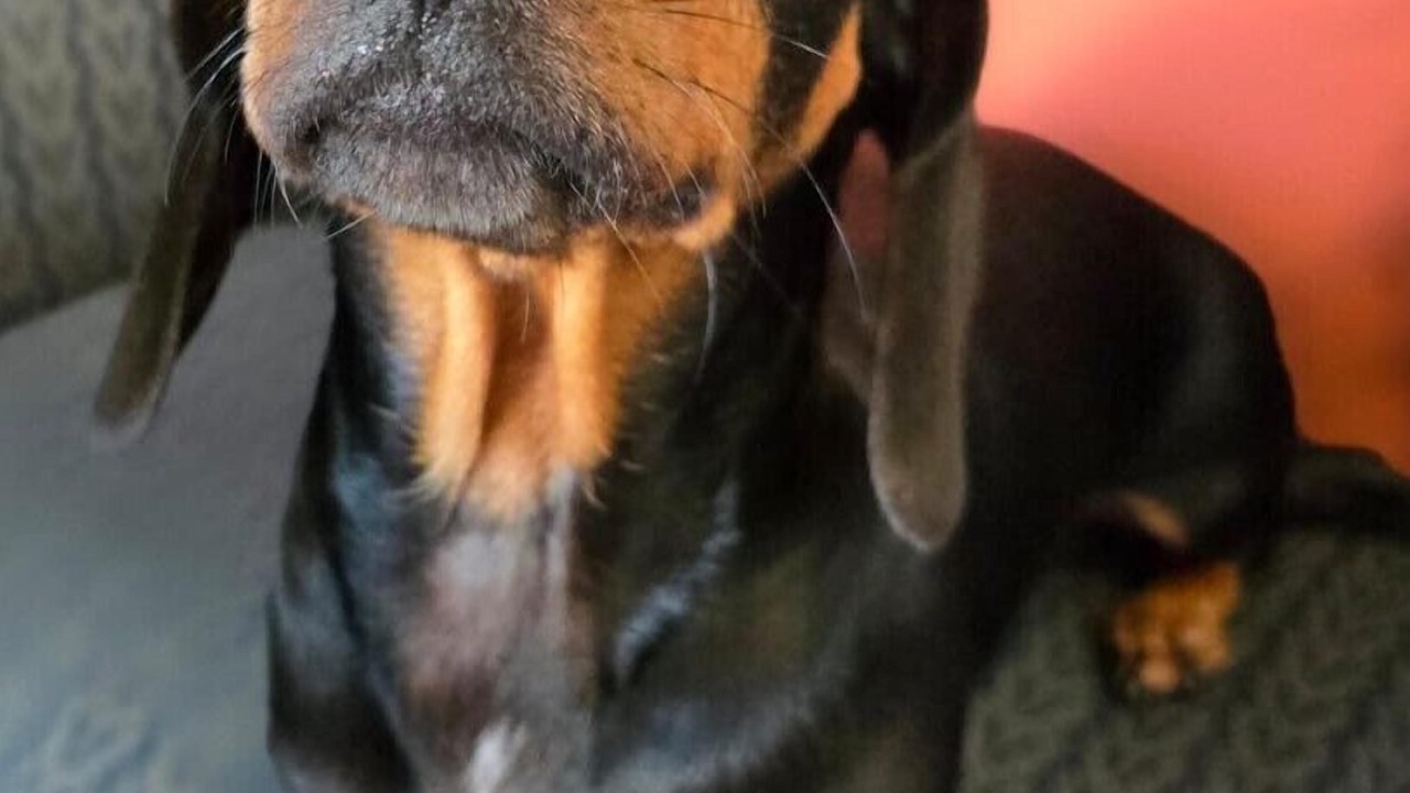 Photo of Others in Yarram