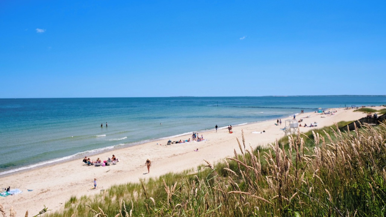 Photo of Others in Oak Bluffs
