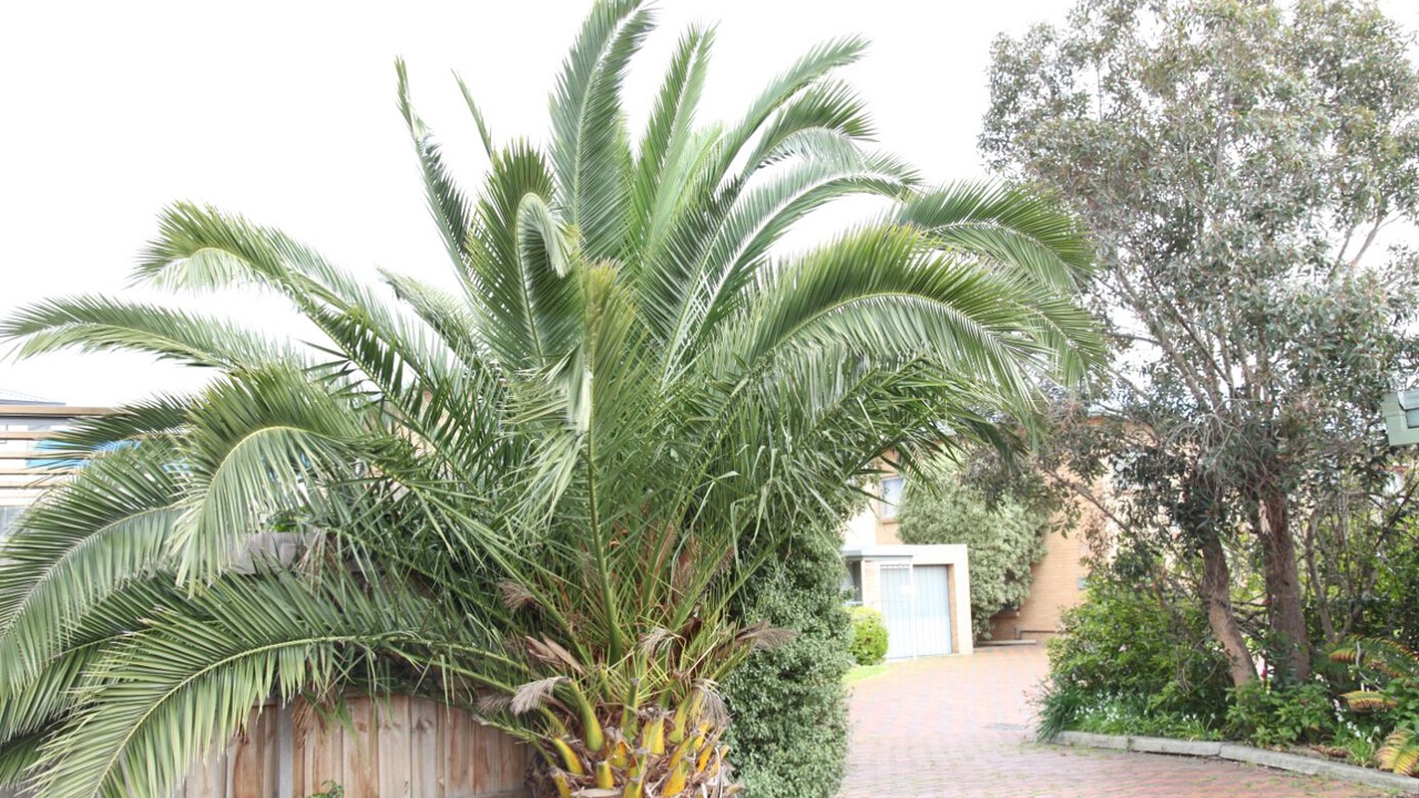 Photo of Outdoor in Carnegie