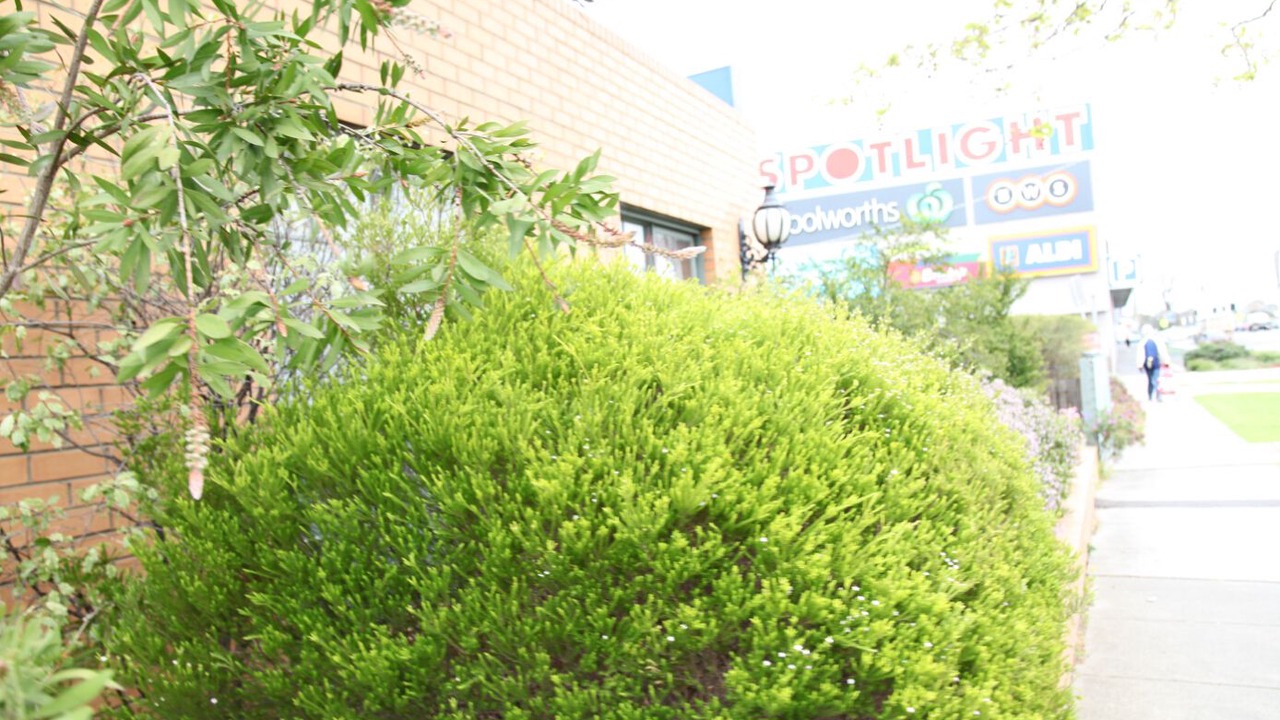 Photo of Outdoor in Carnegie