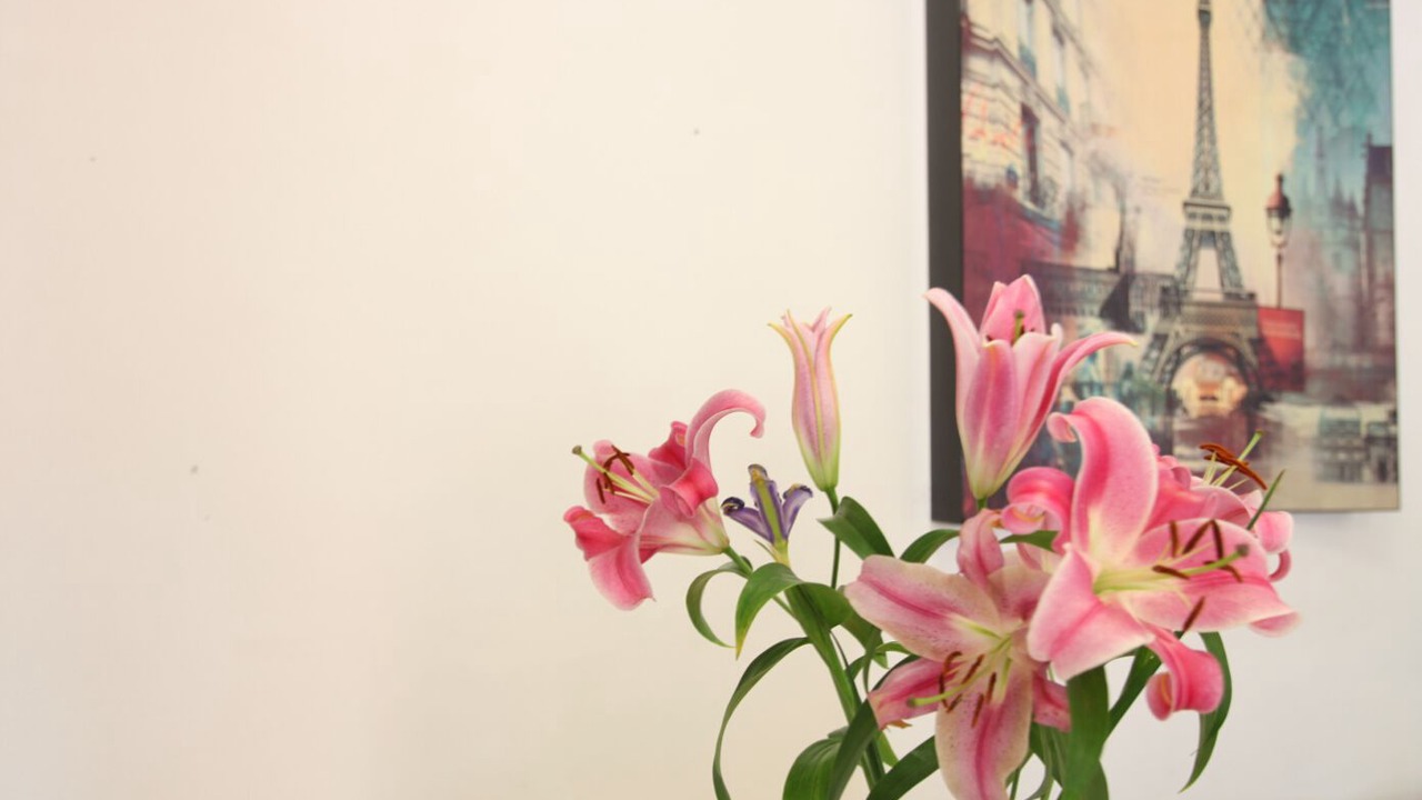 Photo of Others in Carnegie