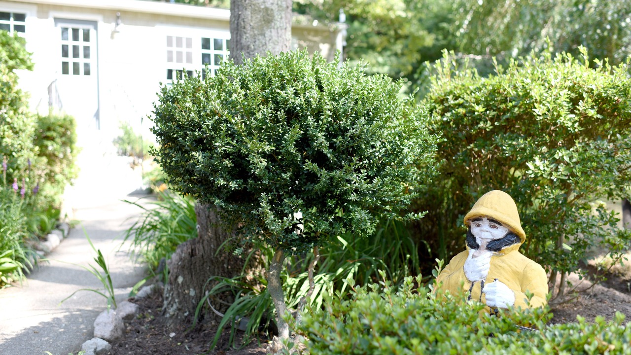 Photo of Outdoor in Sandwich