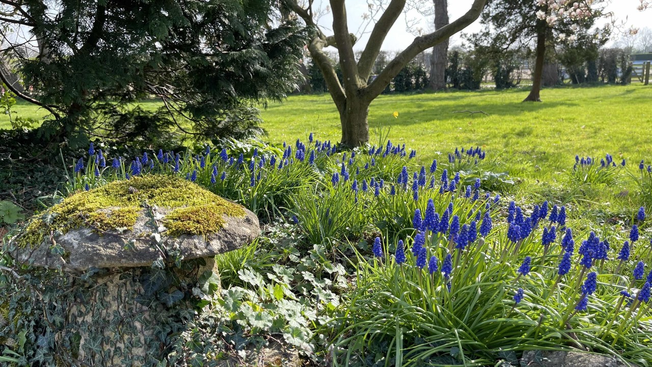 Photo of Outdoor in Oxford