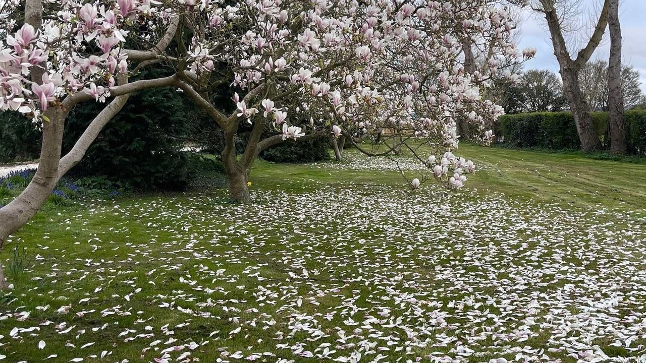 Photo of Others in Oxford