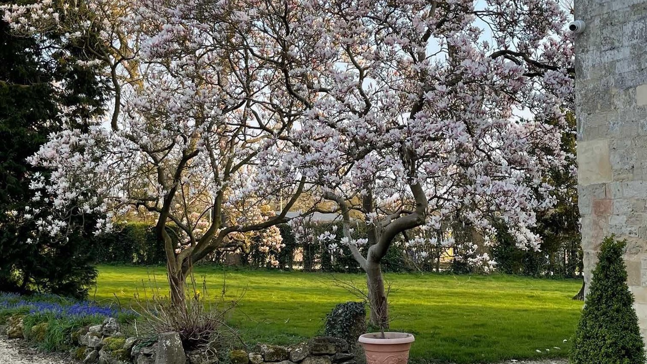 Photo of Outdoor in Oxford