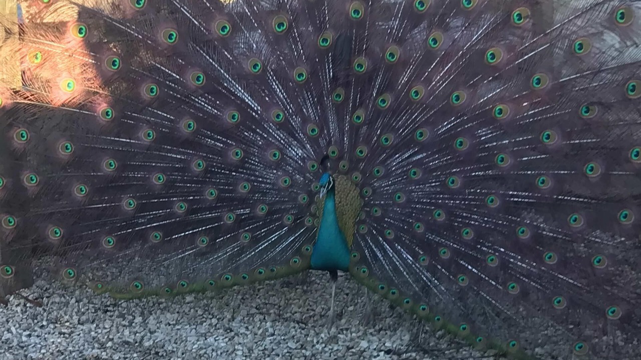 Photo of Outdoor in Oxford