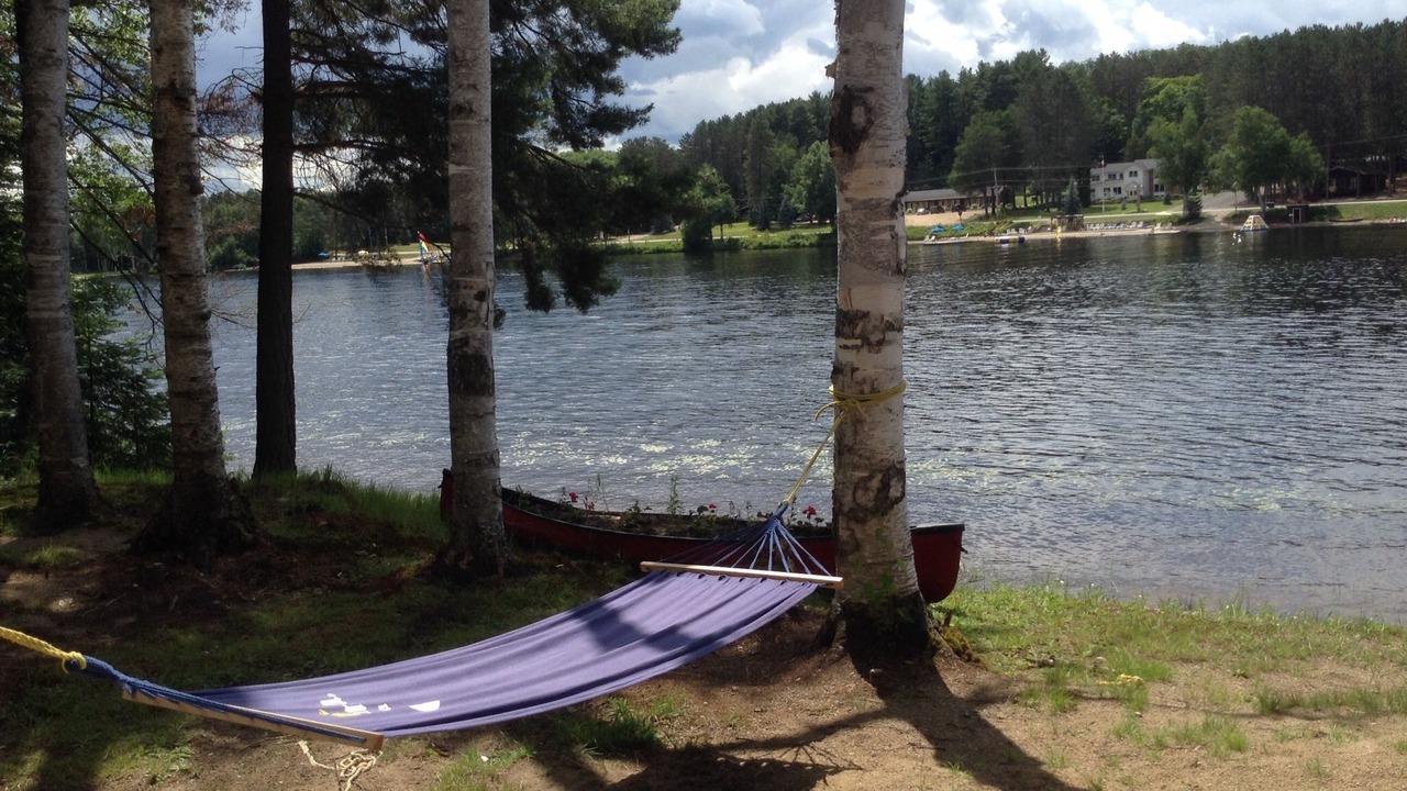 Photo of Outdoor in Algonquin Highlands