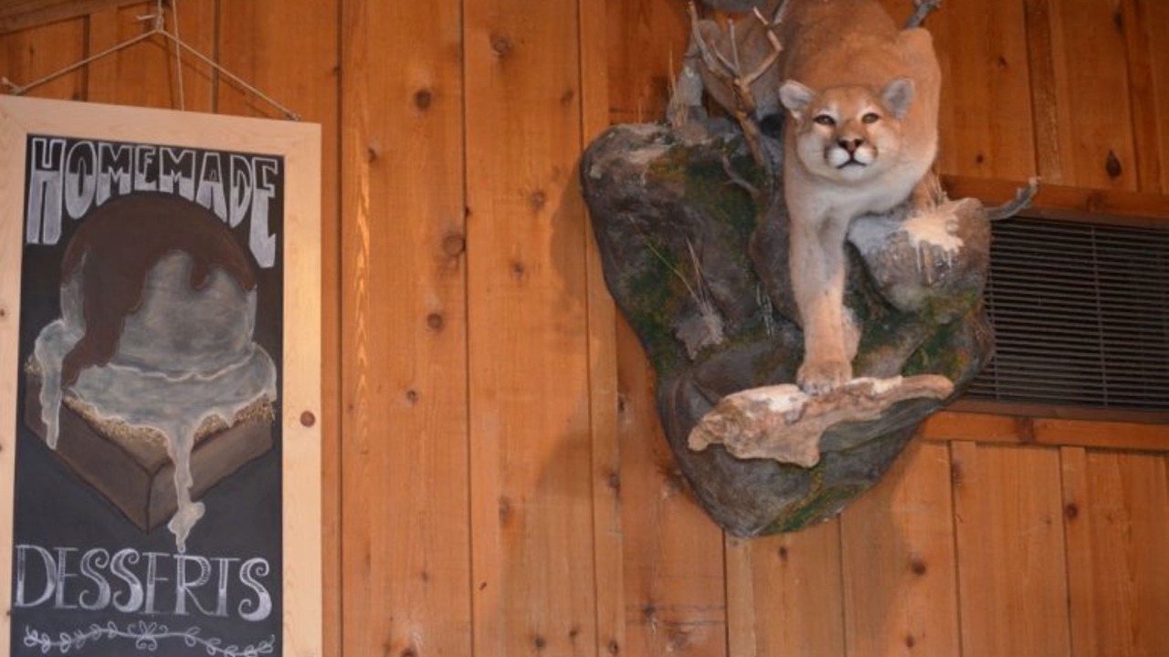 Photo of Others in Stanley