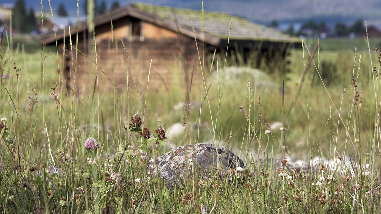 Photo of Outdoor in Stanley