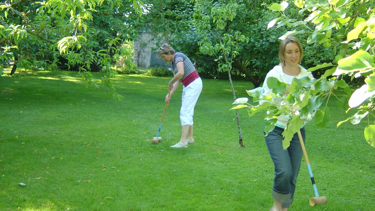 Photo of Others in Lussac-les-Chateaux