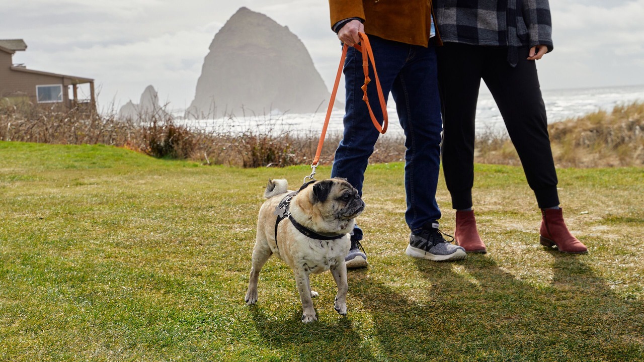 Photo of Others in Downtown Cannon Beach