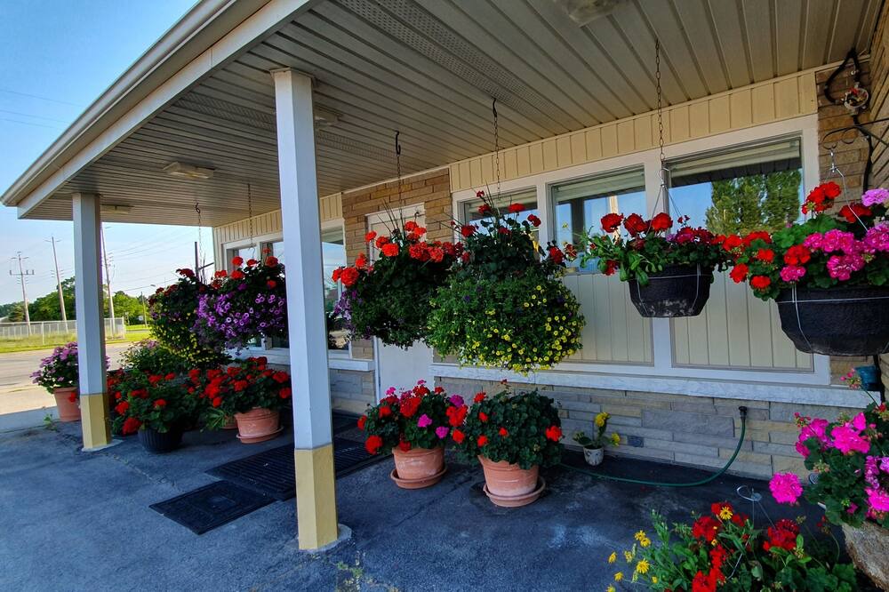Photo of Outdoor in Fort Erie
