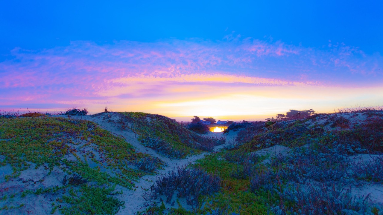 Photo of Outdoor in Moss Landing
