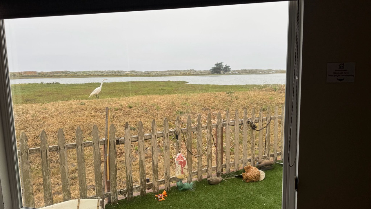 Photo of Others in Moss Landing