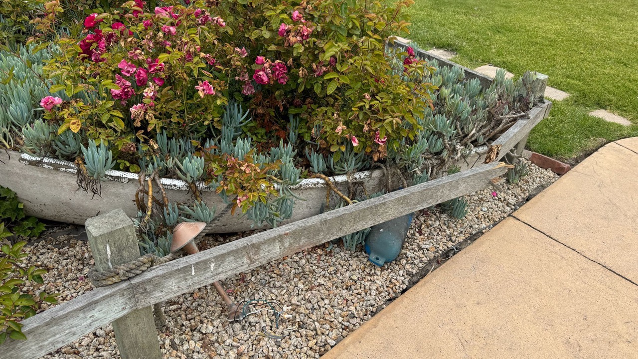 Photo of Others in Moss Landing