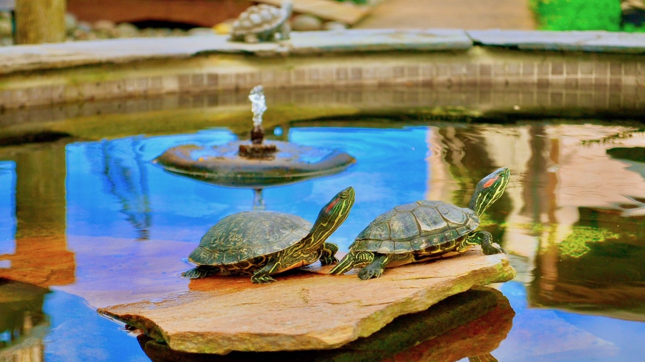Photo of Outdoor in Moss Landing