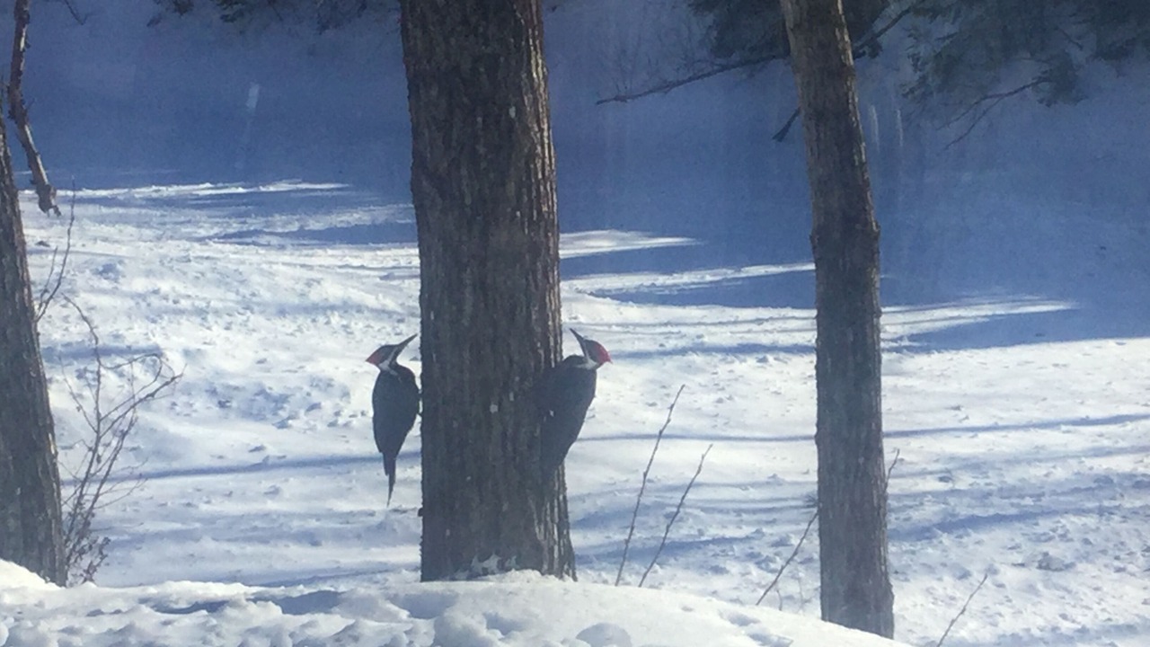 Photo of Outdoor in Edmundston
