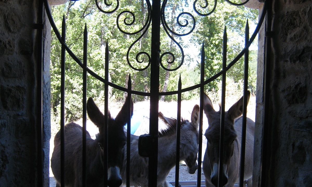 Photo of Outdoor in Bras