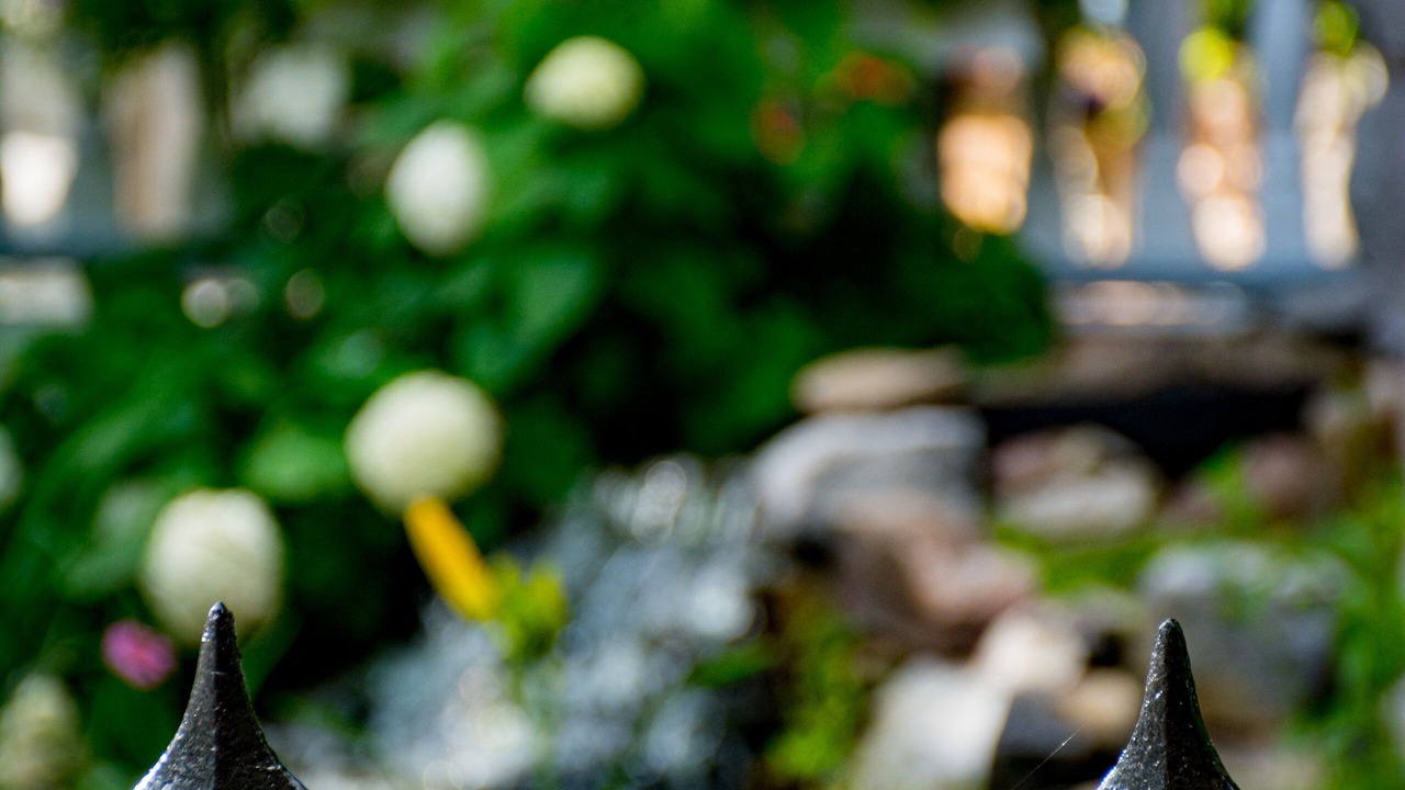 Photo of Outdoor in Kingston