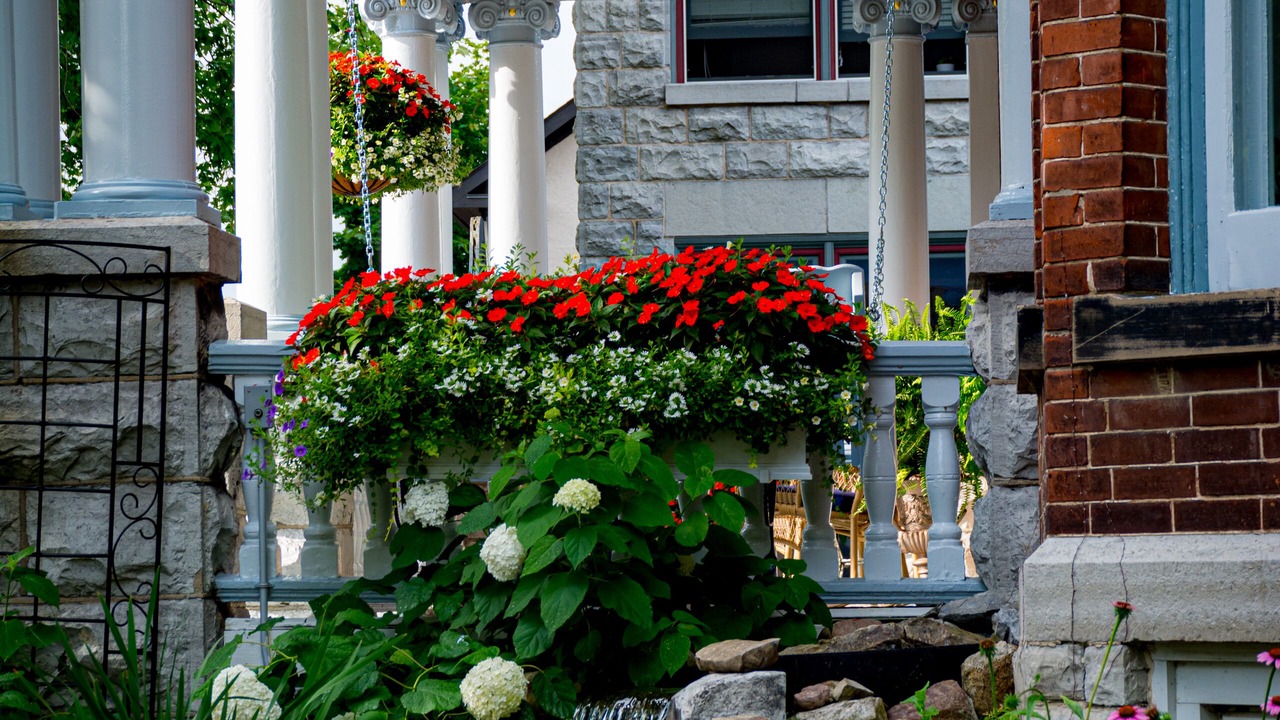 Photo of Outdoor in Kingston