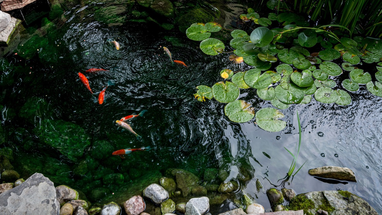 Photo of Outdoor in Kingston