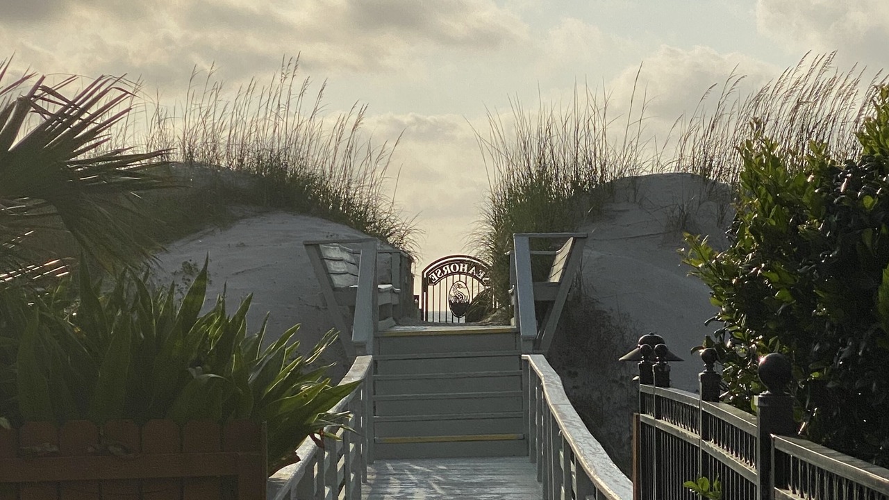 Photo of Outdoor in Neptune Beach