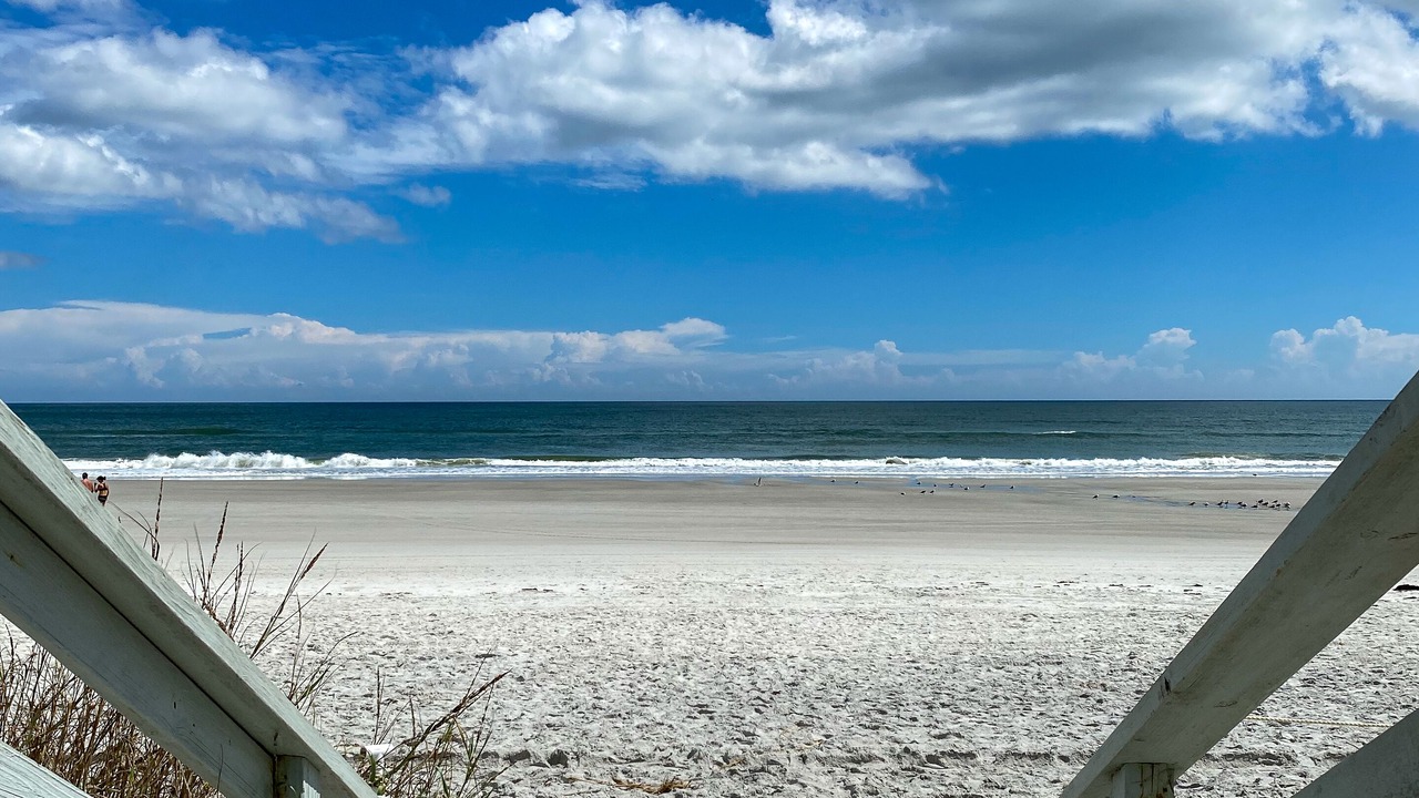 Photo of Others in Neptune Beach