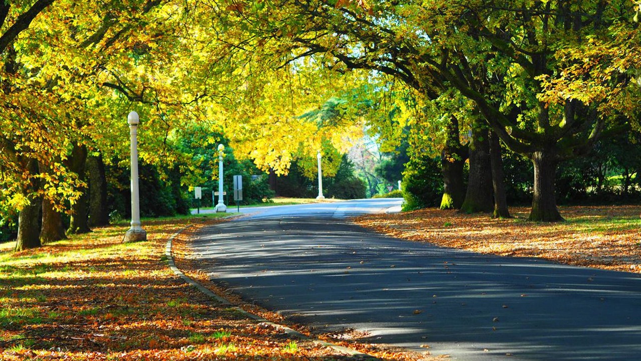 Photo of Others in Beechworth