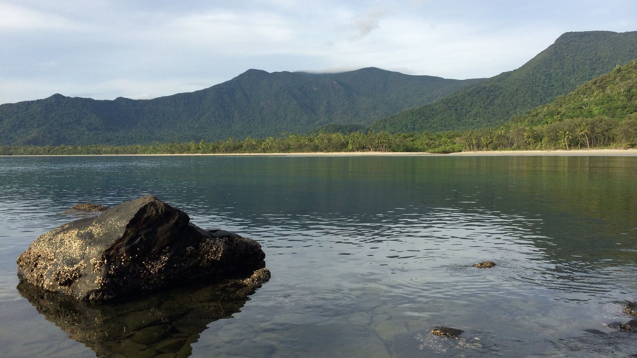 Photo of Others in Cape Tribulation