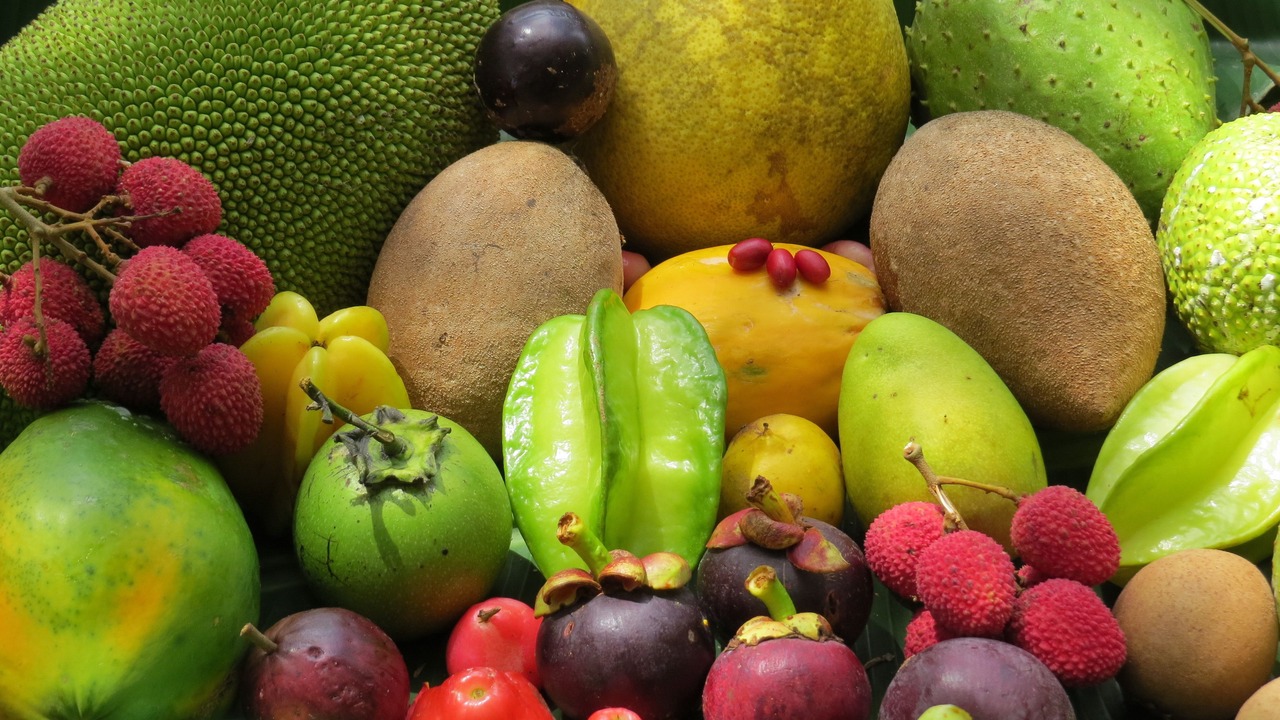 Photo of Others in Cape Tribulation