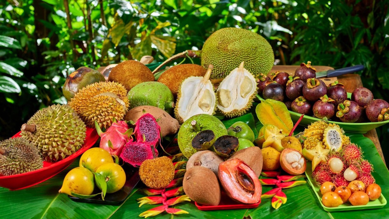 Photo of Others in Cape Tribulation