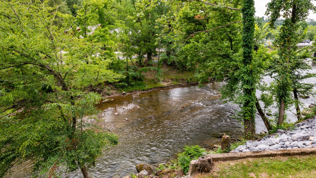 Photo of Others in Pigeon Forge