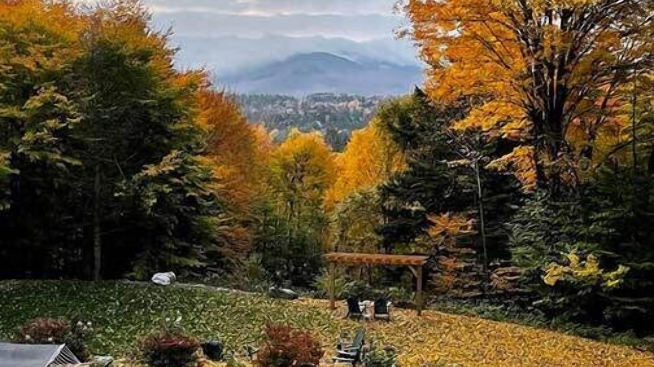 Photo of Outdoor in Stowe Area