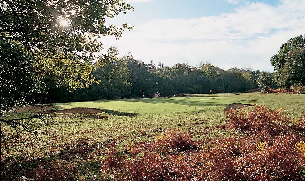 Photo of Others in New Forest District