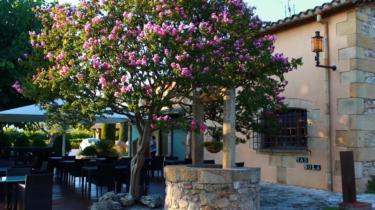 Photo of Outdoor in Santa Coloma de Farners